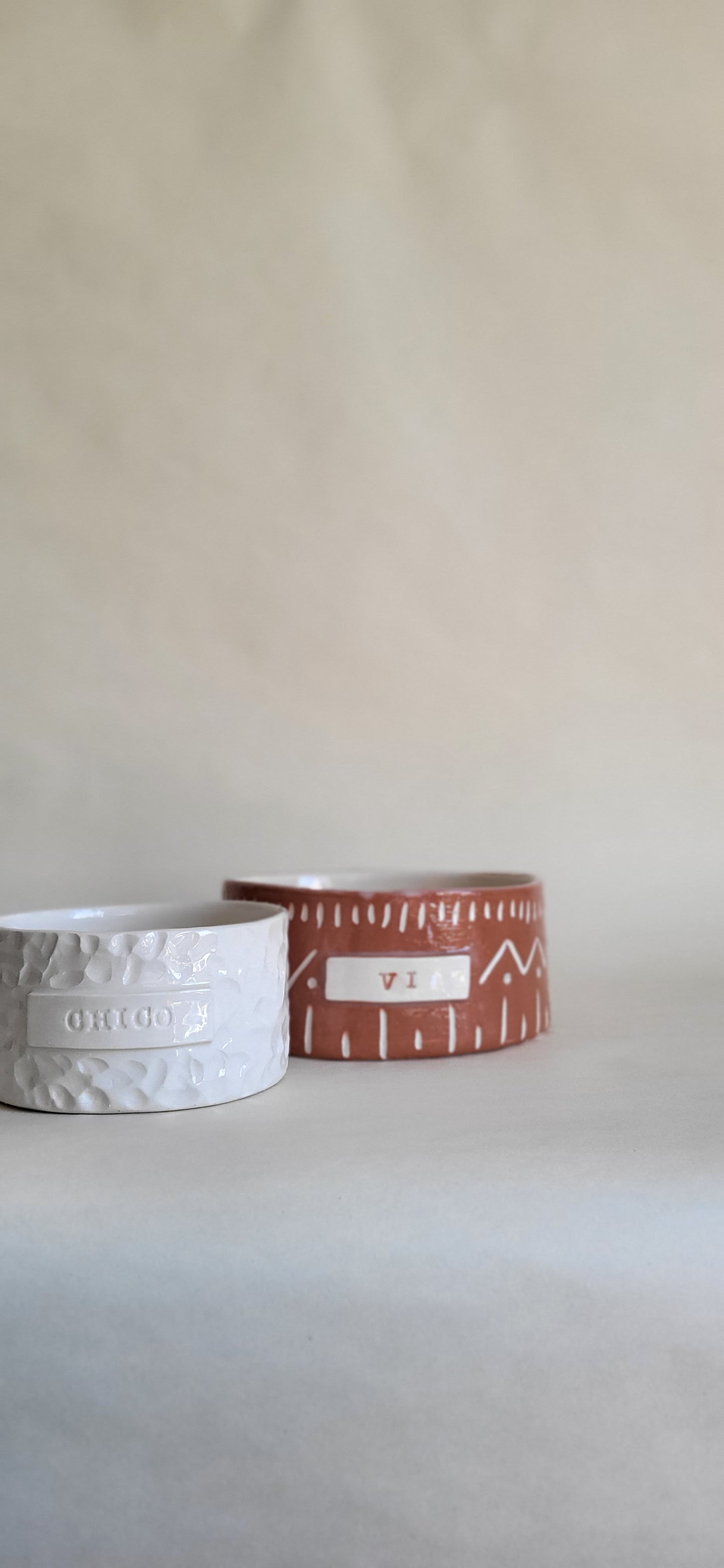 Ethnic Ceramic Dog Bowl