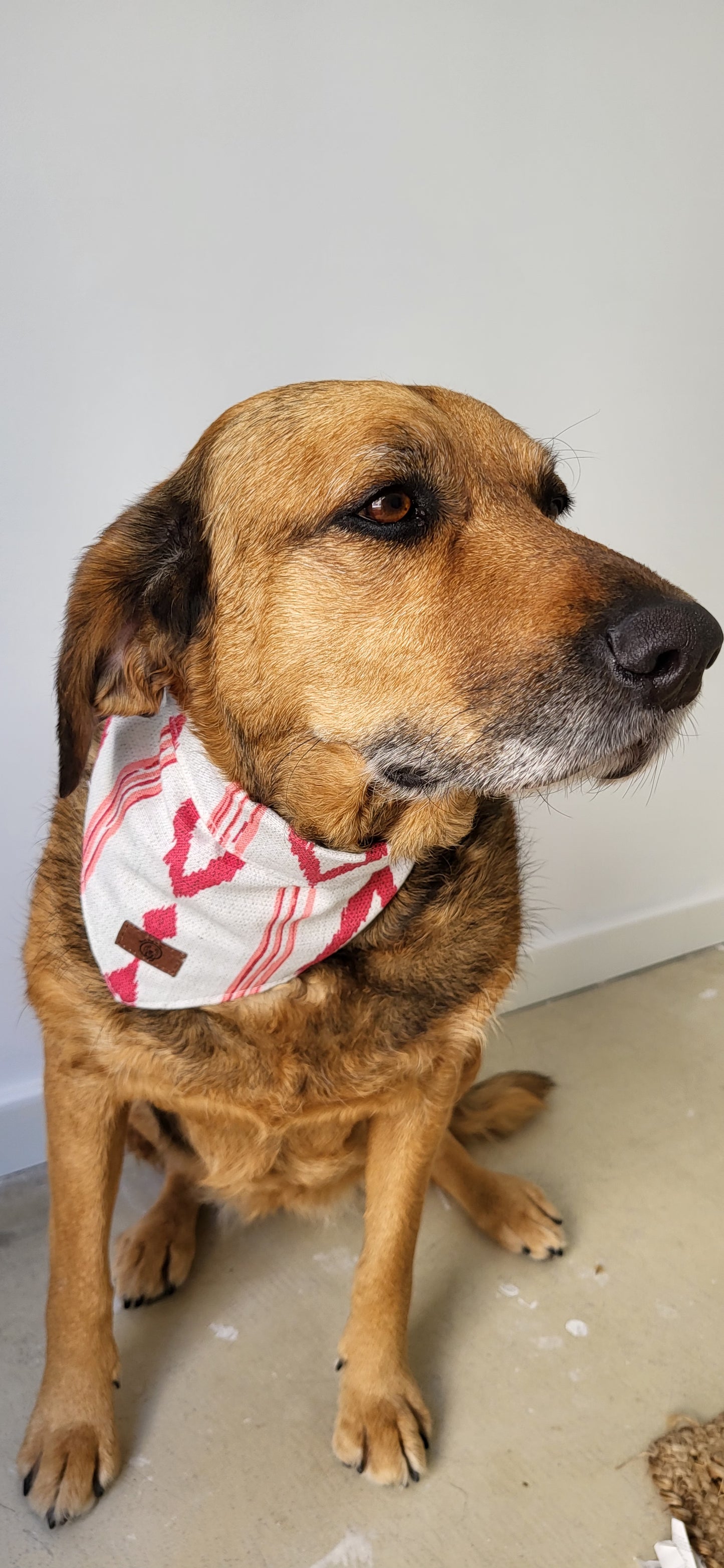 Bandana Kanti