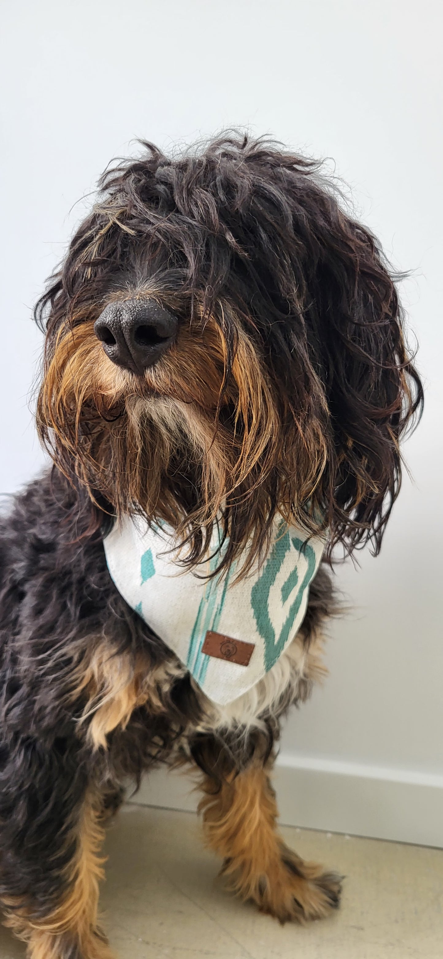 Bandana Tsiyi