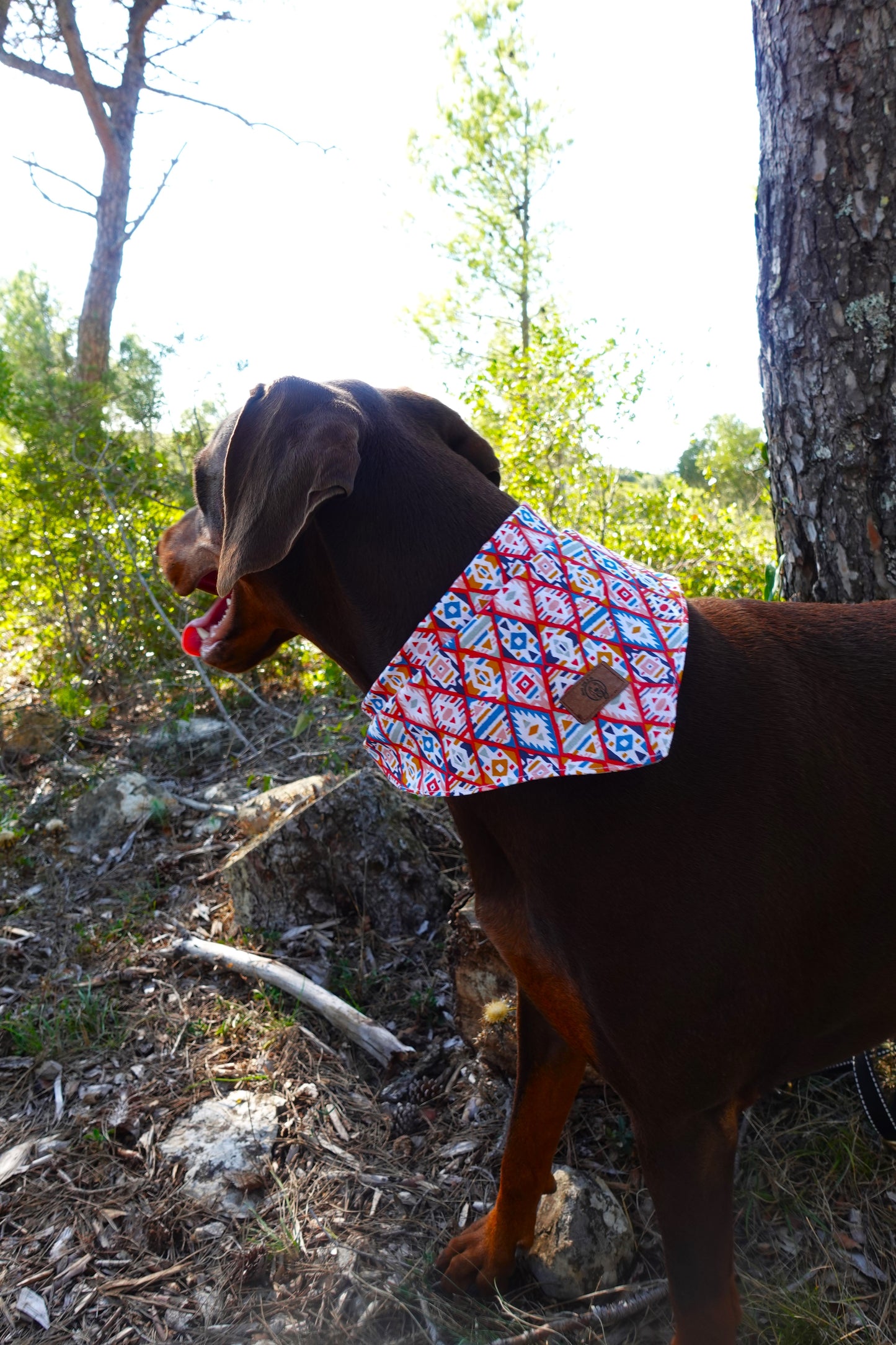 Usdi Bandana