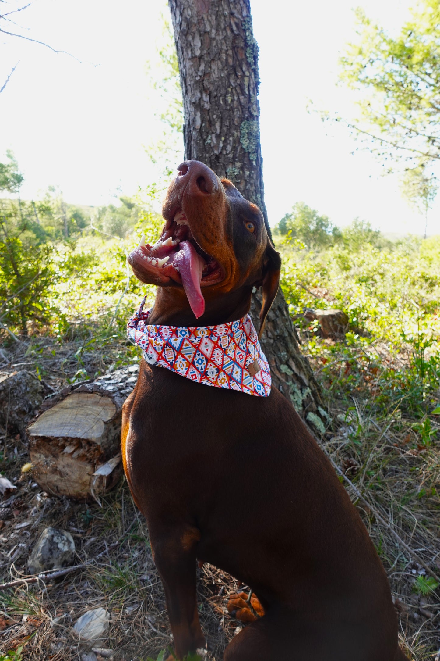 Usdi Bandana