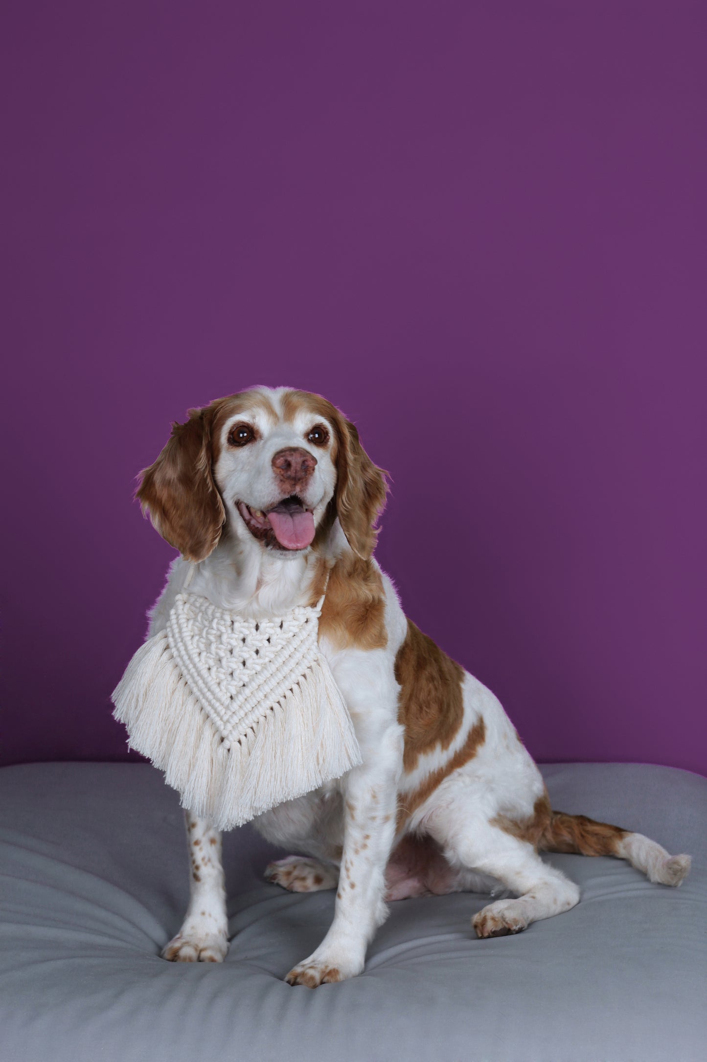 Bandana