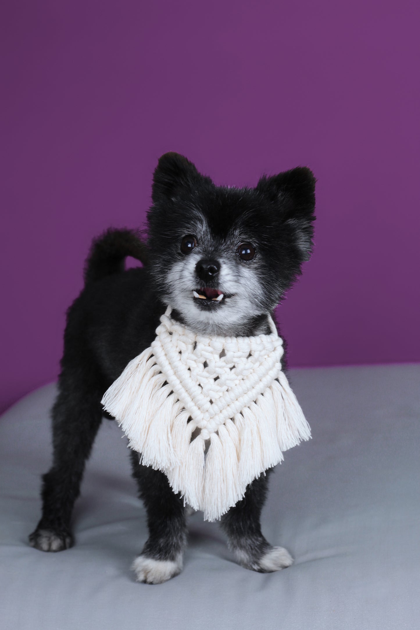 Bandana