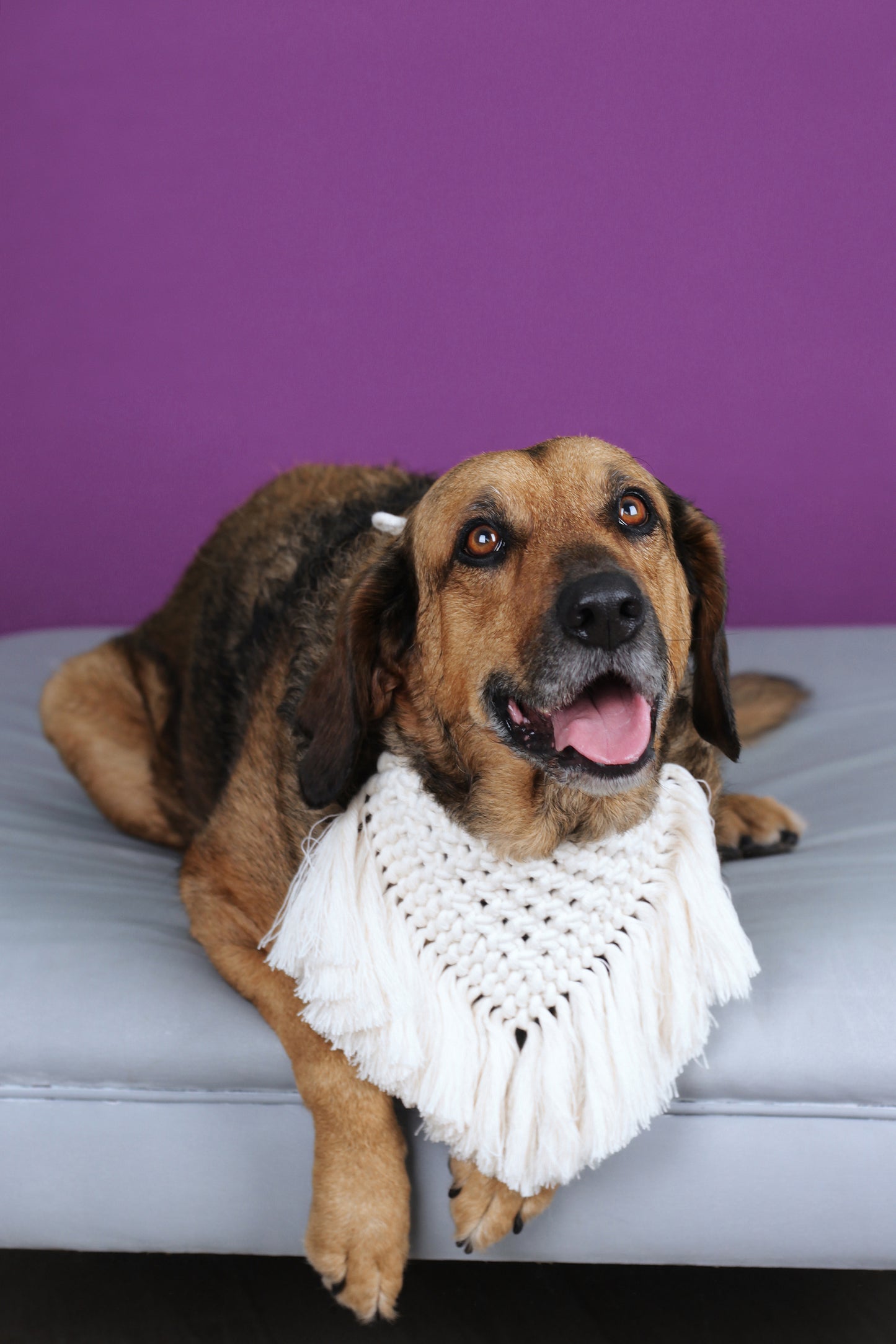 Bandana