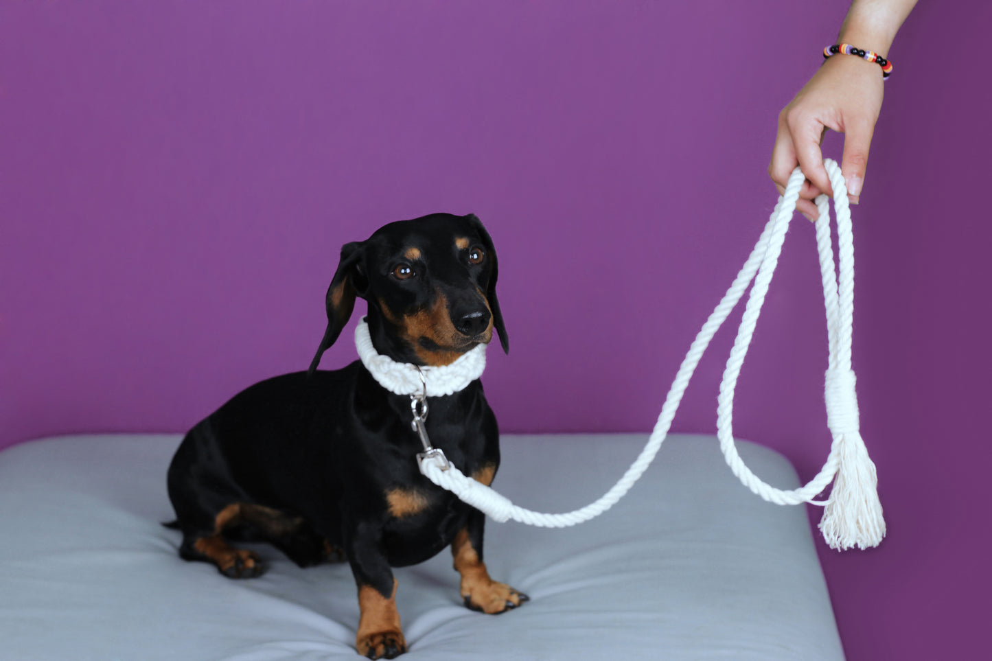 Leash