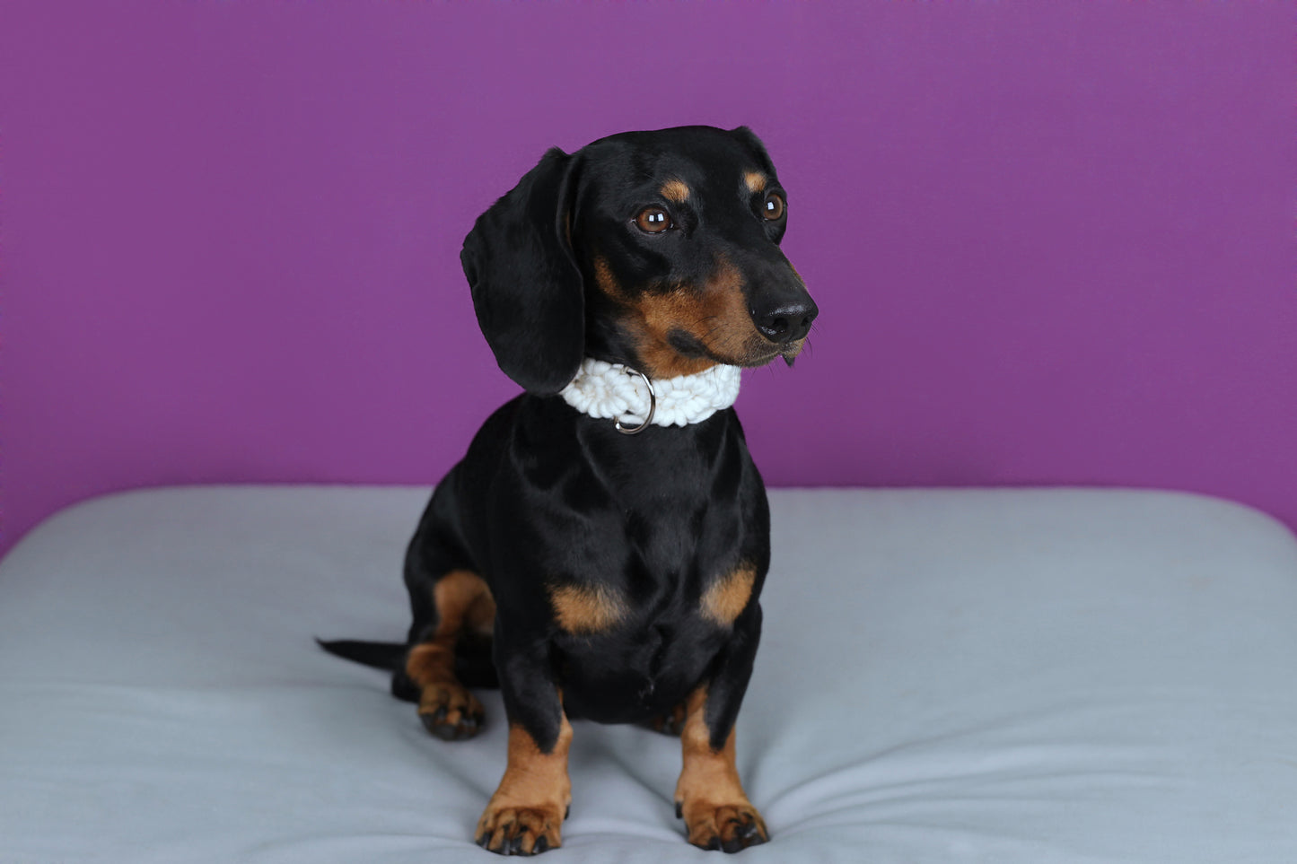 Collar