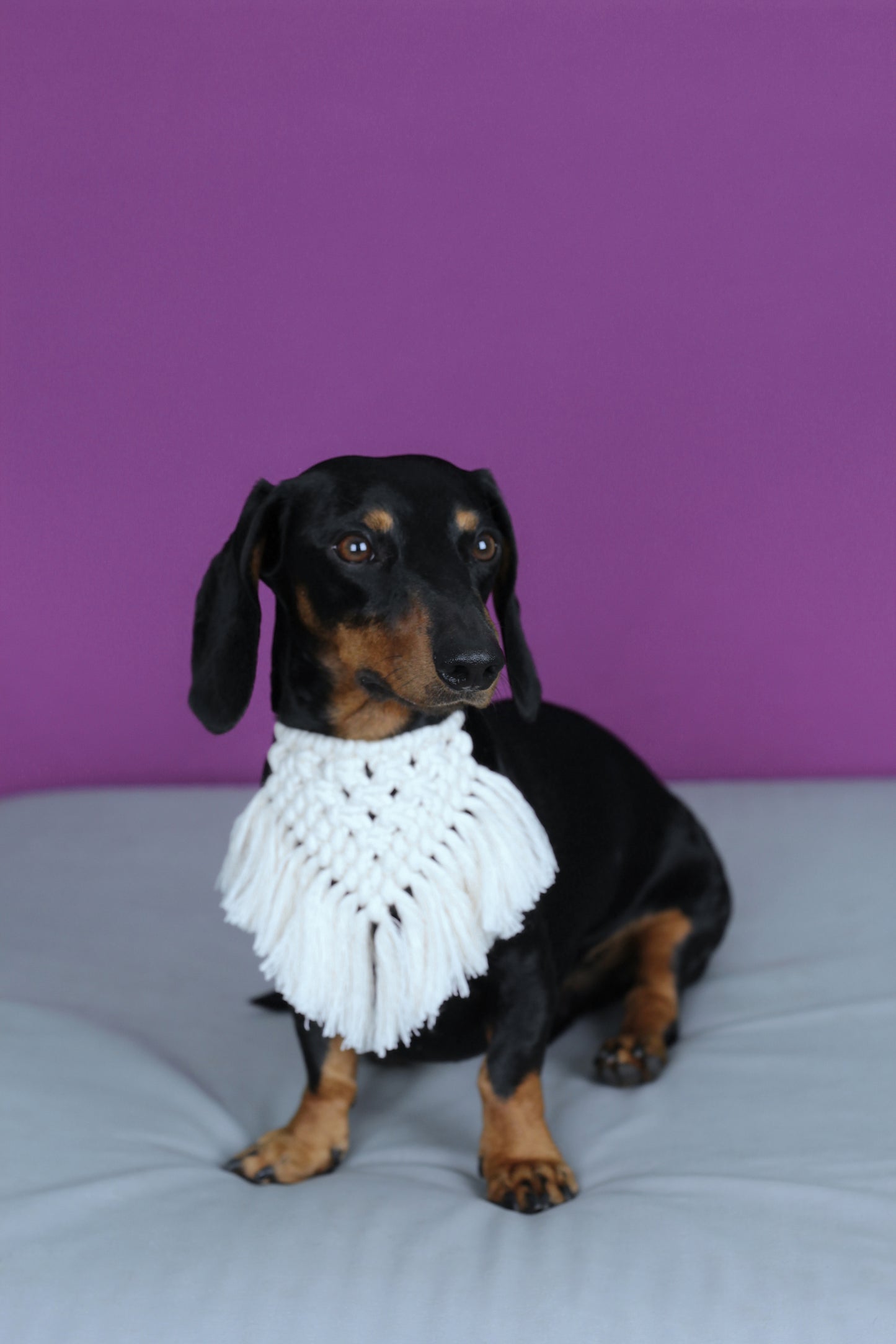 Bandana