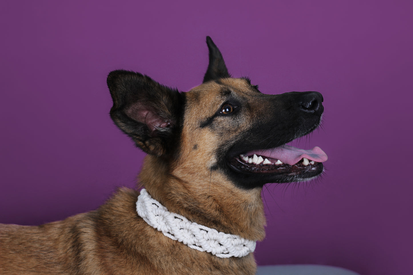 Collar