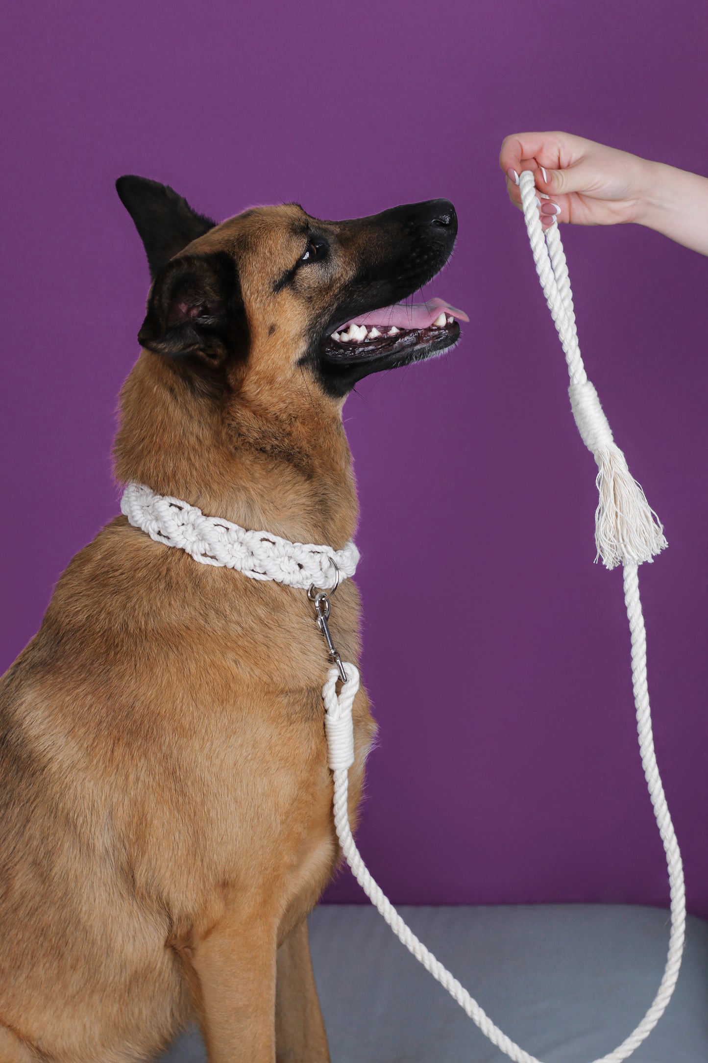 Leash