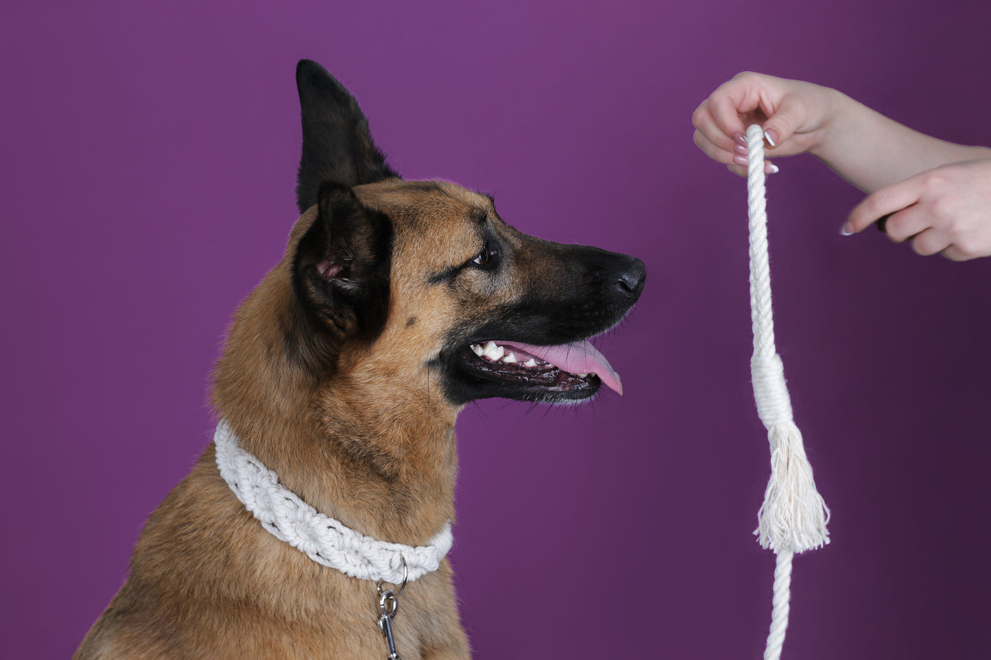 Leash