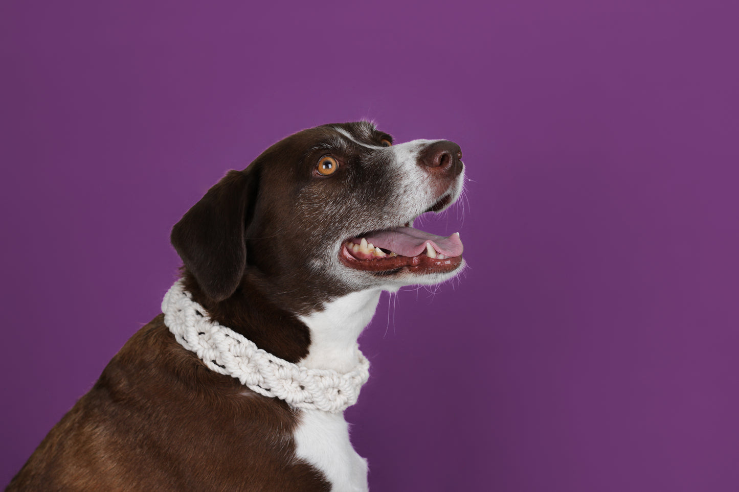 Collar