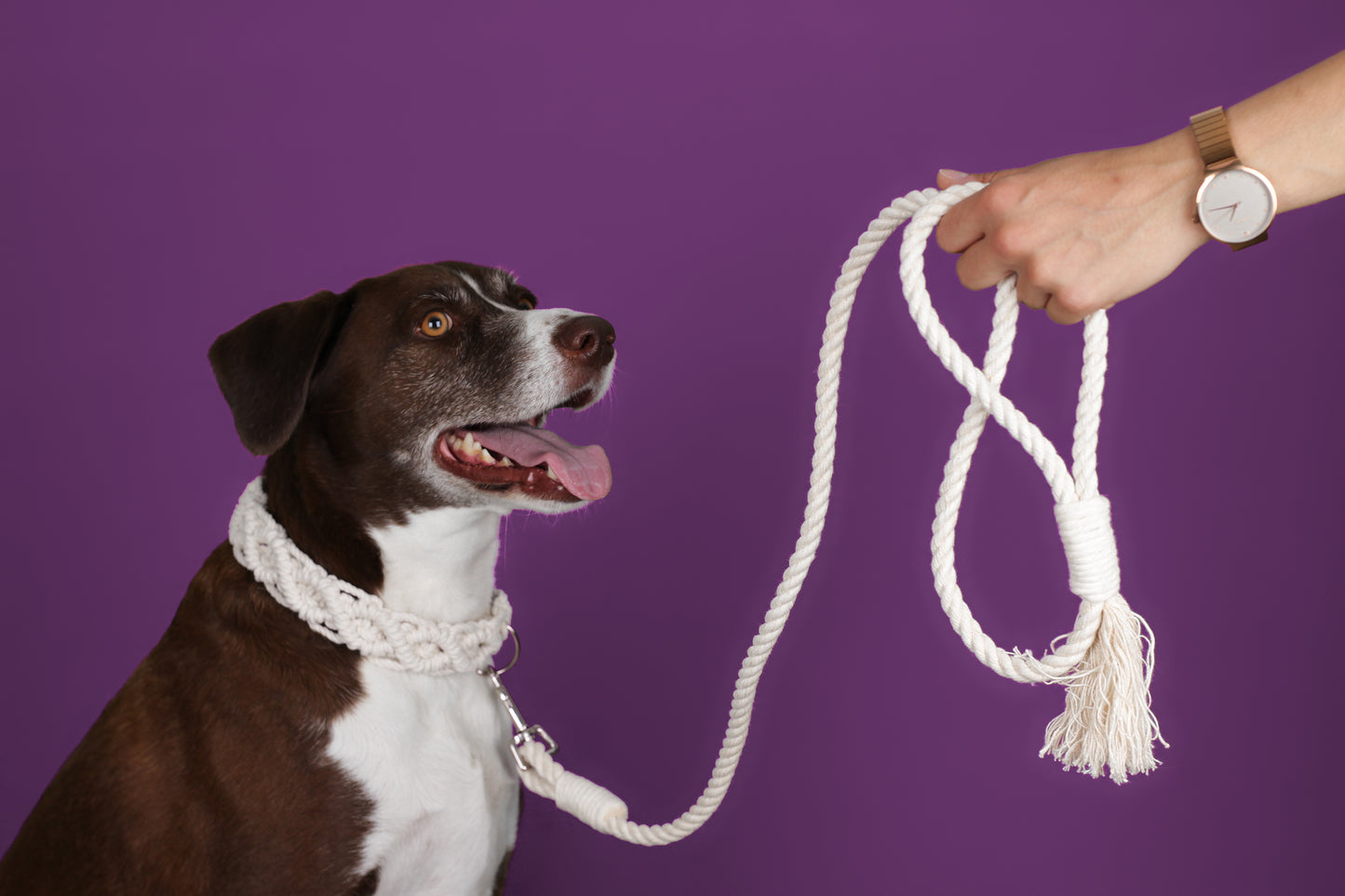 Leash