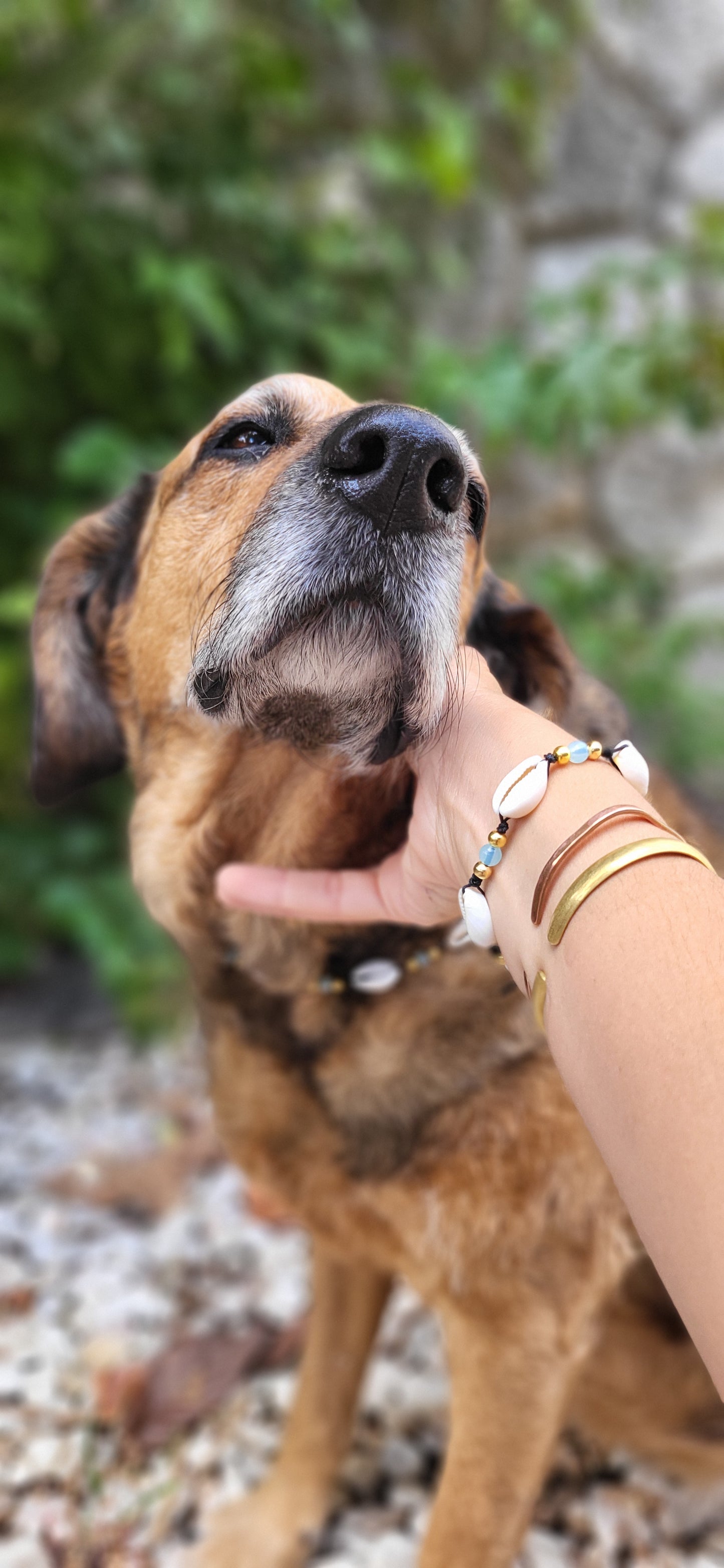 Seashell Collar and matching Bracelet