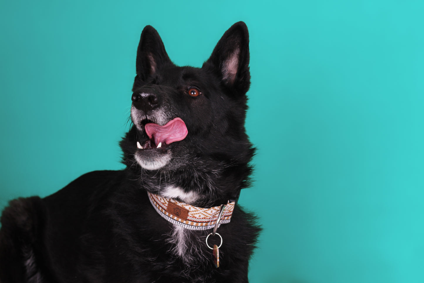 Caramel Collar