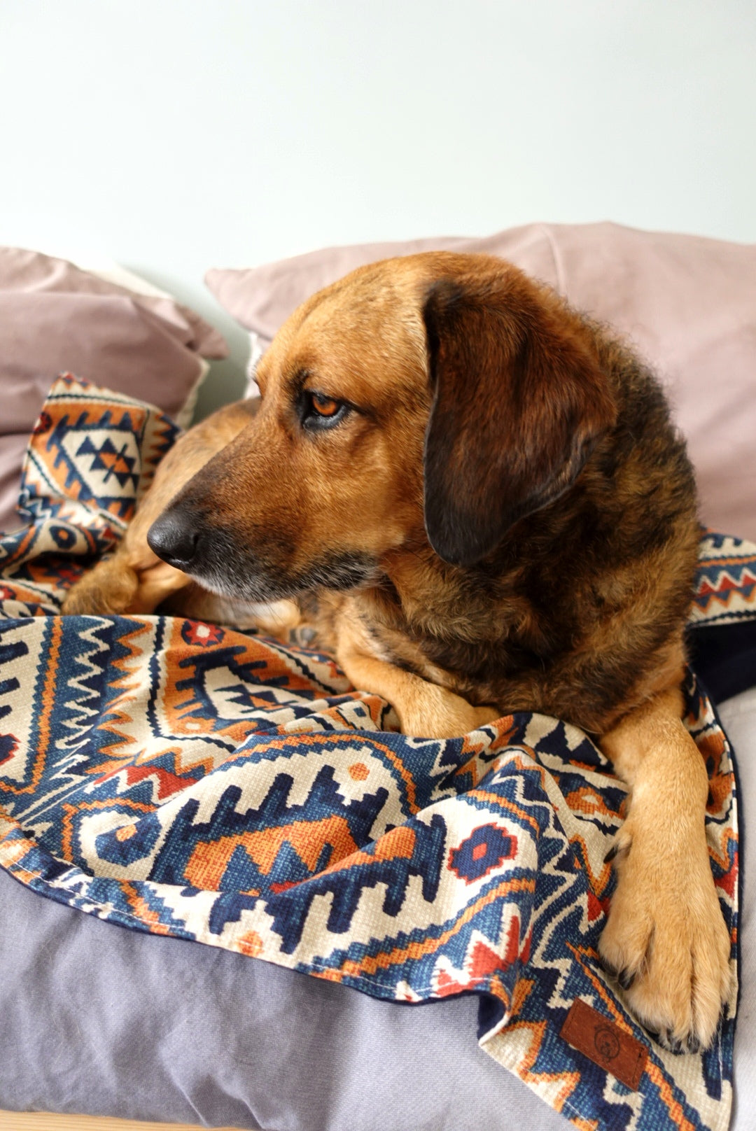 Aztec Blanket