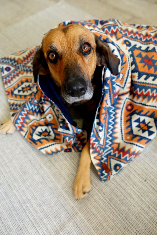 Aztec Blanket