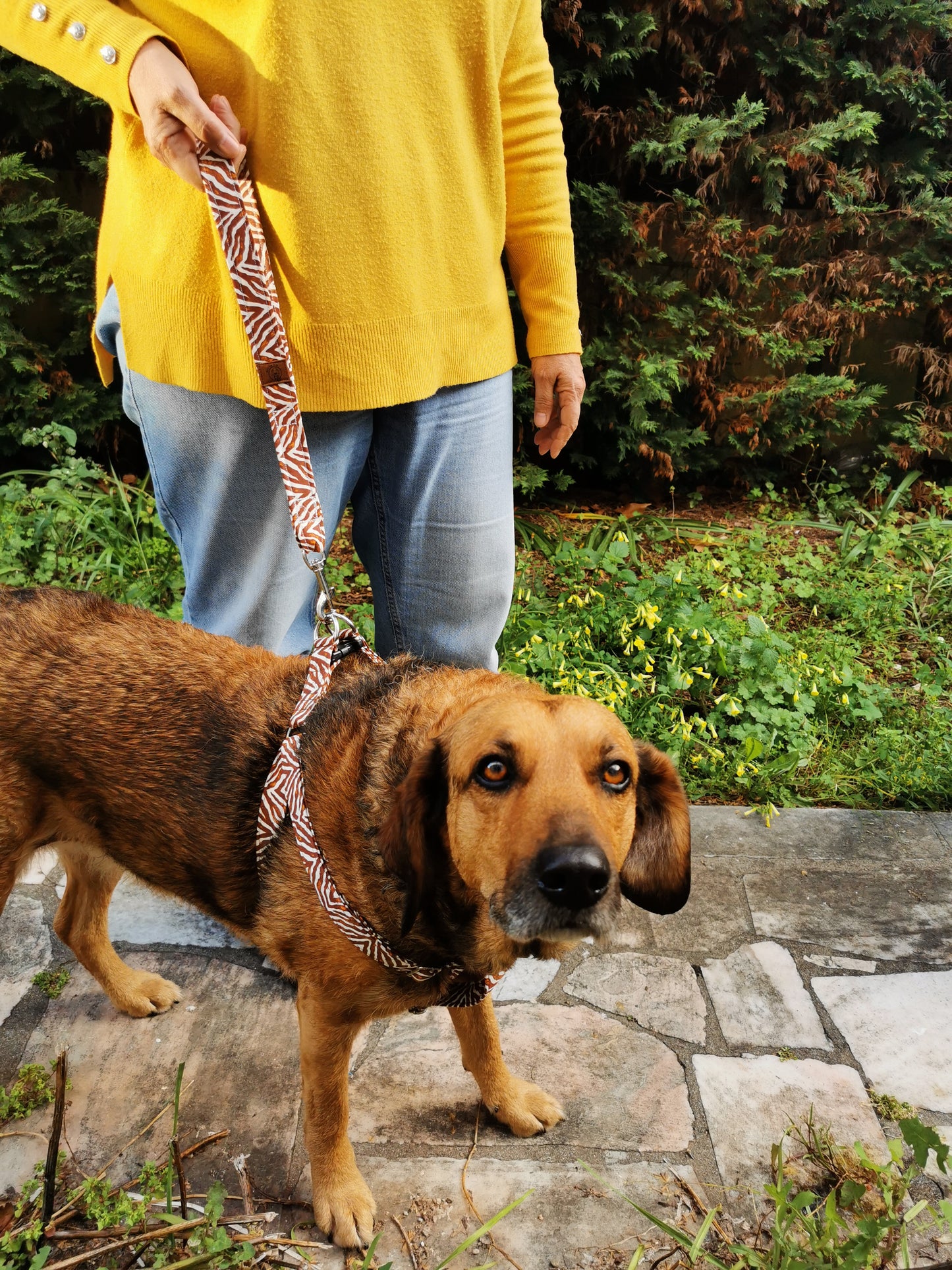 Mini Leash