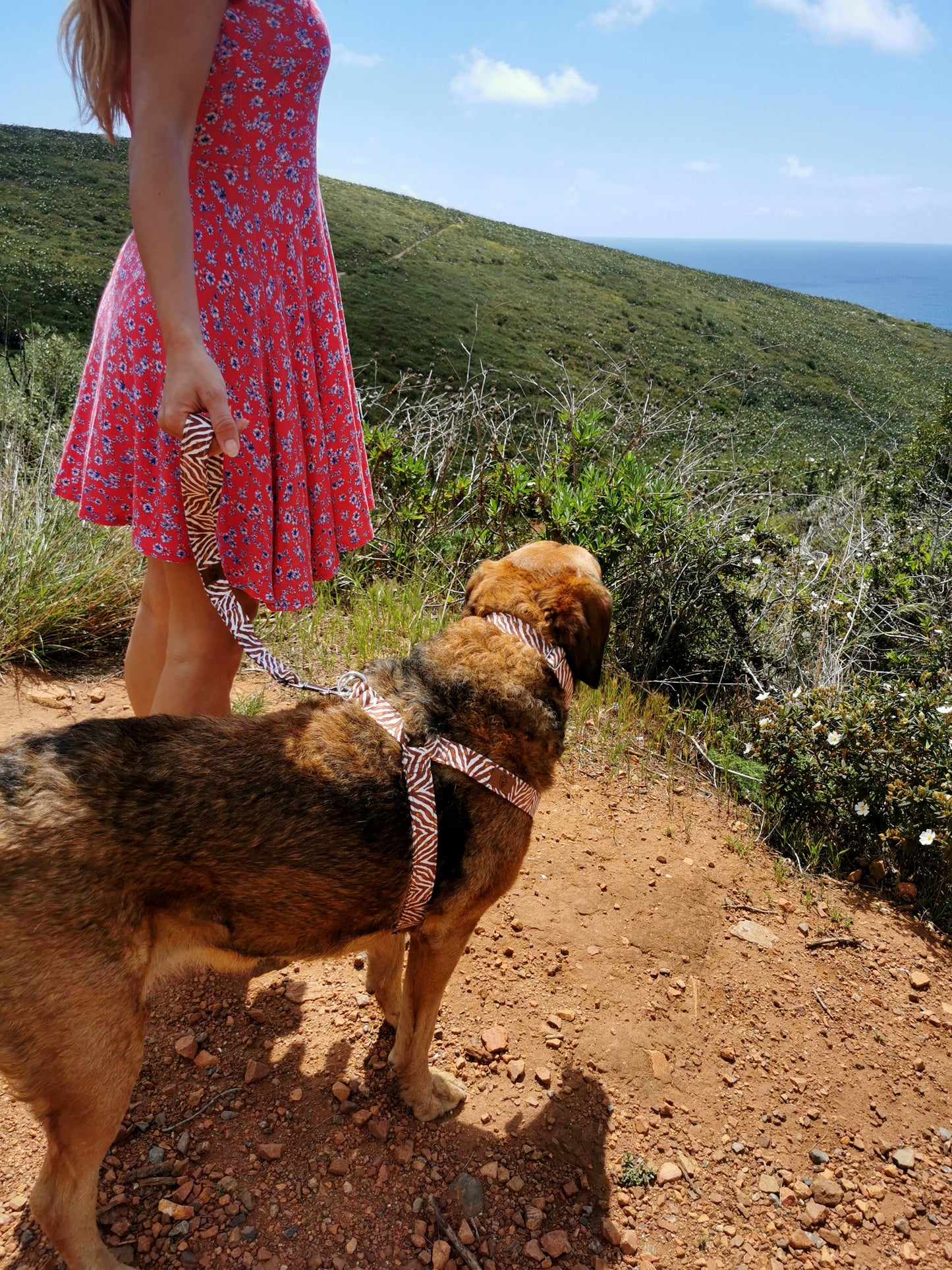 Mini Leash
