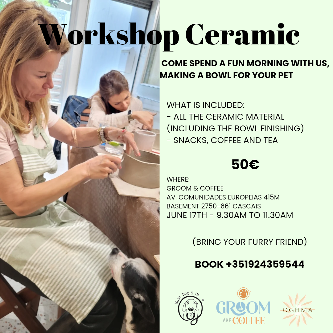 Workshop Ceramic and Wine