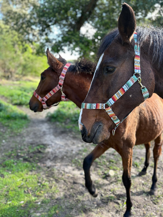 Horse Halter