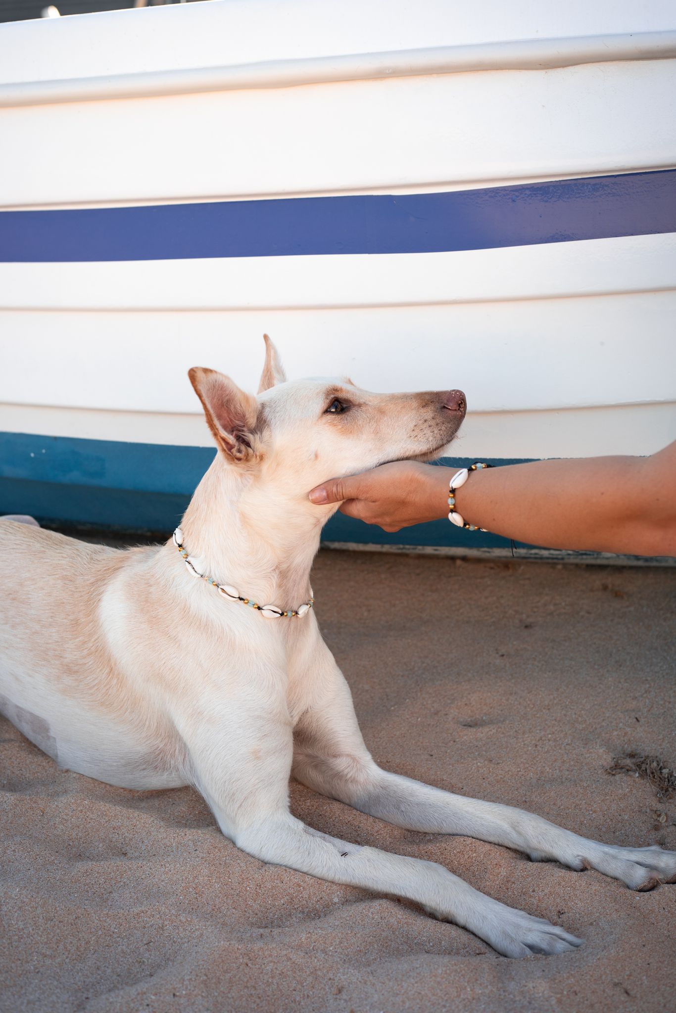 Seashell Collar and matching Bracelet 