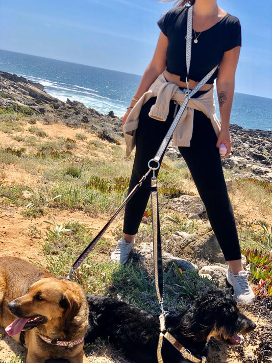 Multi-Function Leash