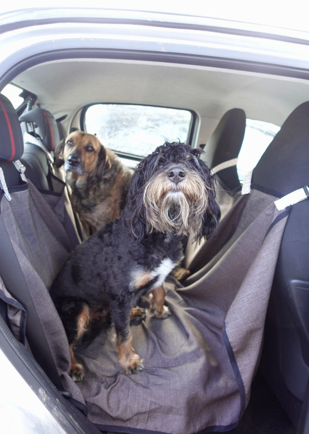 Car Seat Cover for Dogs